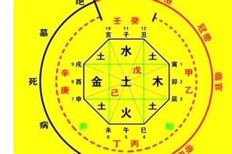 八字五行 查詢|生辰八字算命、五行喜用神查詢（免費測算）